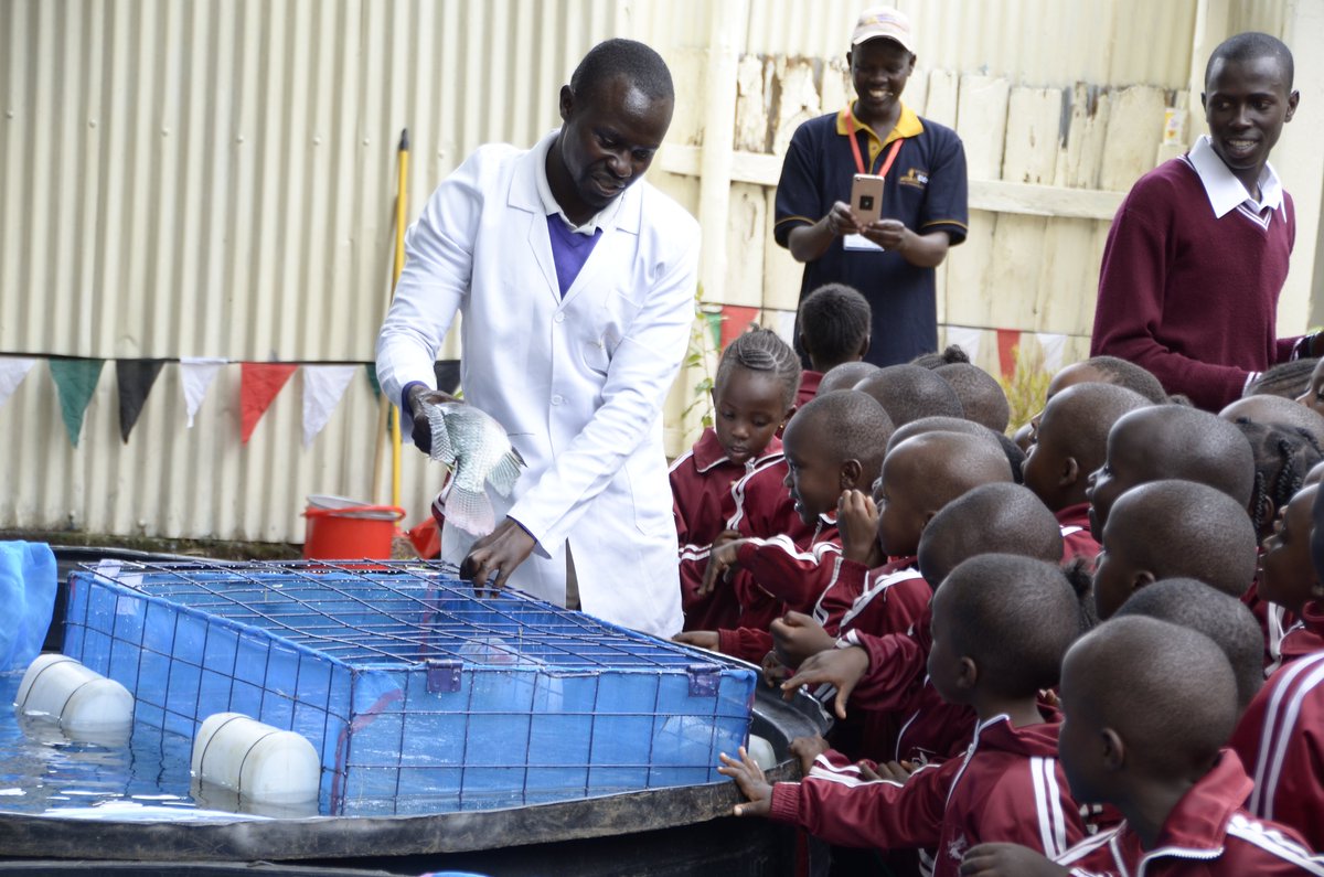 University of Eldoret tweet media