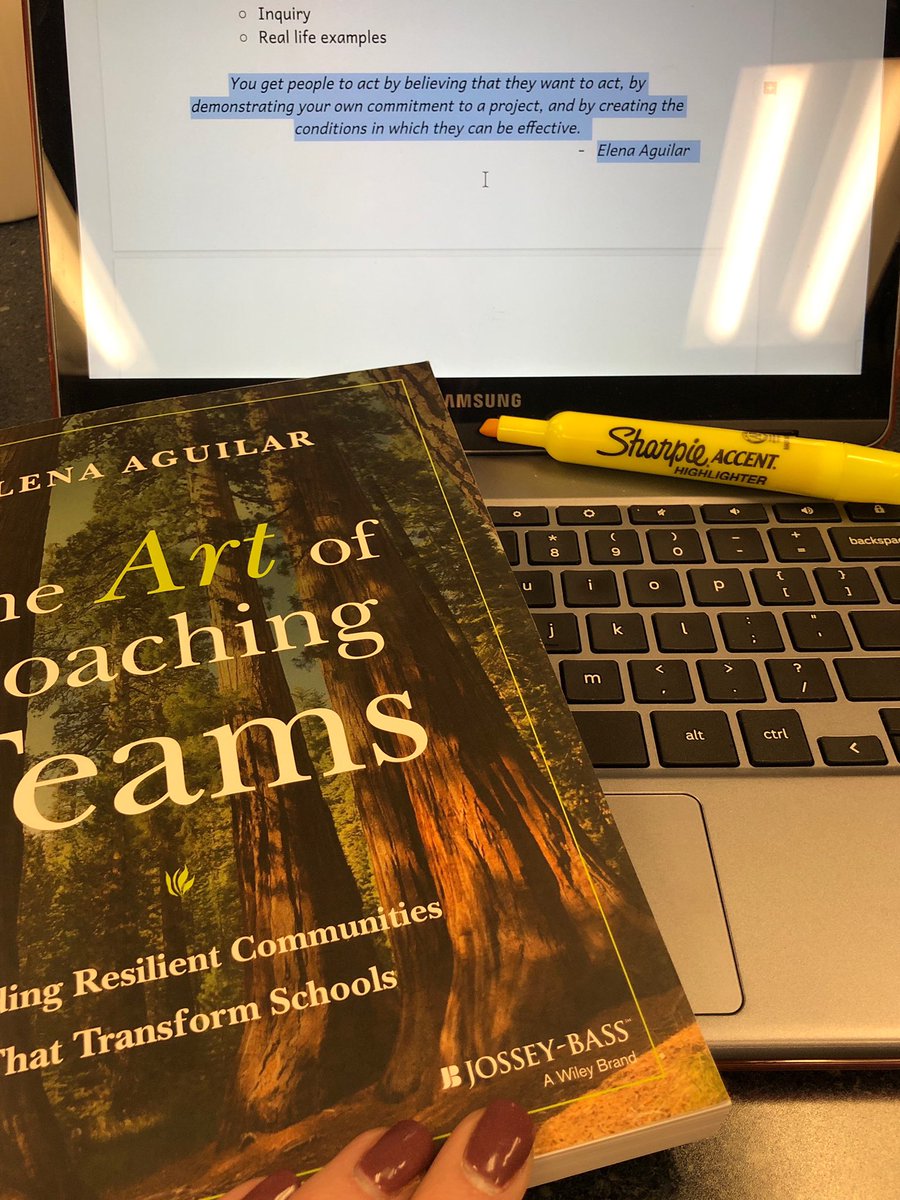 MrsCookHCSD's tweet photo. Digging into this book today @OSULitCollab was nothing short of incredible! Coming back to @Hamilton_CSD and @Hamilton_RV with amazing learning and takeaways. Thank you @brightmorningtm! #BigBlueOnTheMove https://t.co/fva1Ufd8Dc