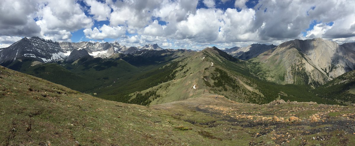 Mist Ridge, accessed from Mist Creek Provincial Recreation Area, has always been a popular horse and backpacking area, but has become a bit of a trail-running hotspot in recently. It's pretty easy to see why.