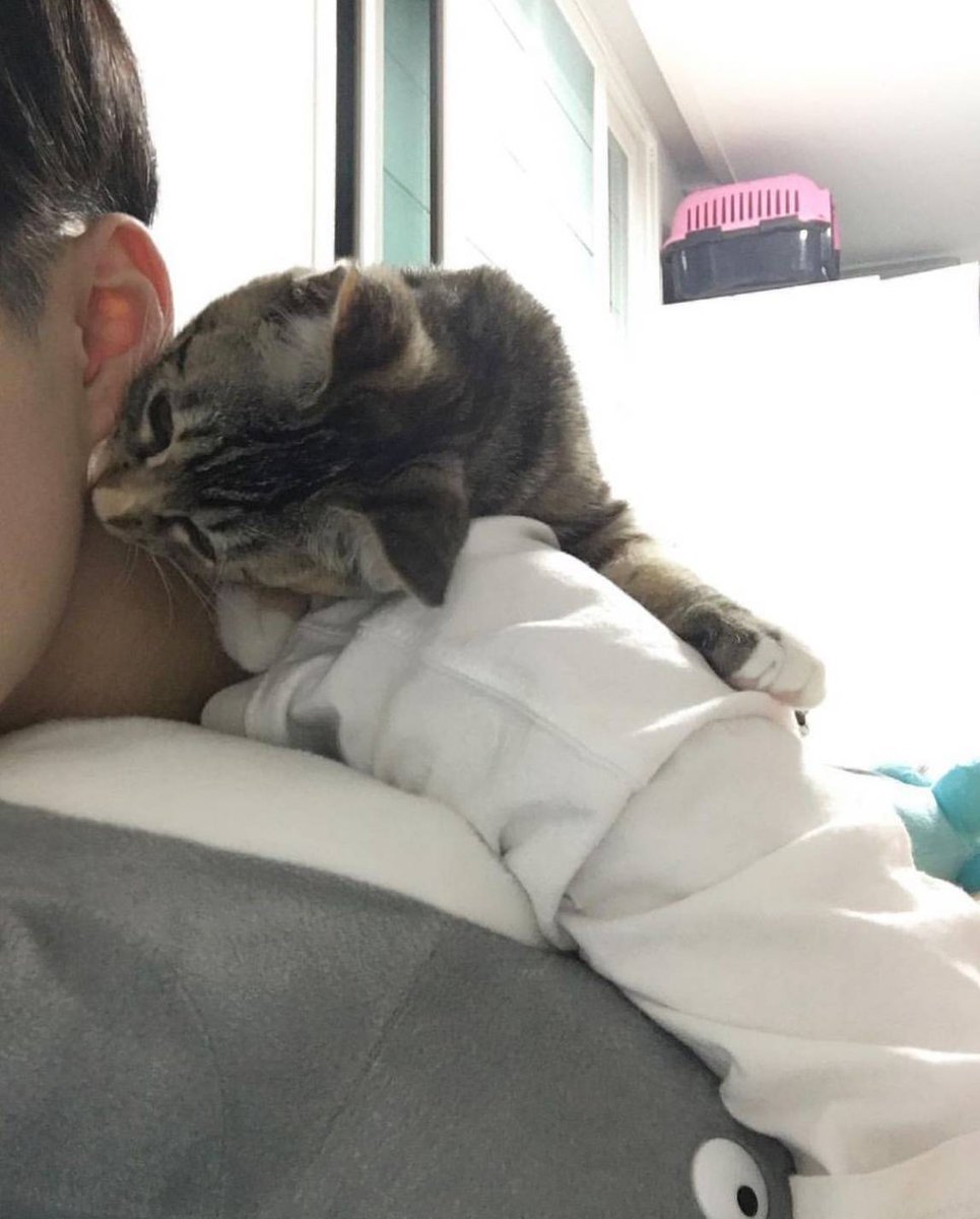 N80987926's tweet image. สนใจมาเป็นเดมแรกของคิงกันมั้ยครับ:) #เรียลชาย
Rt,❤ = เดี๋ยวเดมไปนะครับ
(ถ้าเดมมาก่อนจะน่ารักมาก)
#บอทใหม่ #บอทโสด #บอทหาเมีย #บอทหาแฟน #บอทเหงา #บอทใหม่หาเพื่อนคุย #บอทหาทุกอย่าง #บอทหาคนคุม #บอทเมะ #บอทเงี่ยน #บอทขี้เงี่ยน