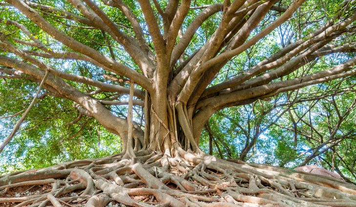 DrupalKolkata tweet media