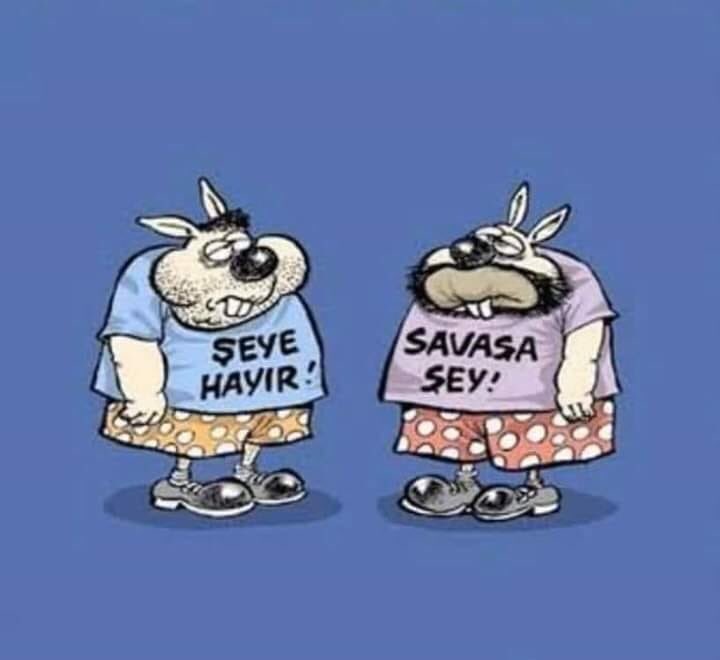#şeyehayır #savaşaşey #barisaevet