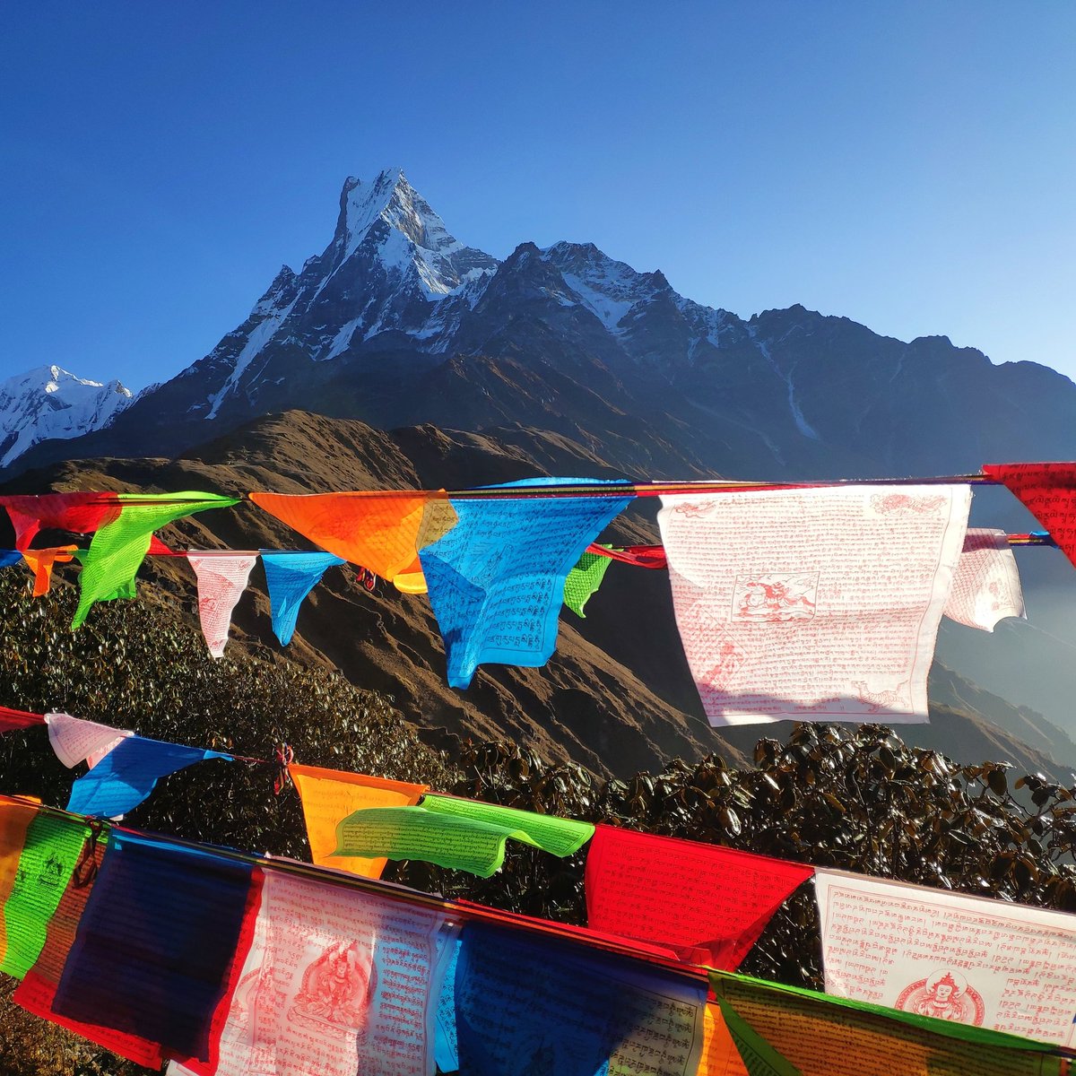EverestTrav's tweet photo. Las #banderasibetanas de oración se usan para promover la paz, la compasión, la fuerza y la sabiduría. No llevan oraciones a los dioses. Los tibetanos creen que las oraciones y los mantras serán arrastrados por el viento para difundir la buena voluntad y la compasión. 
#nepal https://t.co/FKBM7hwvJ5