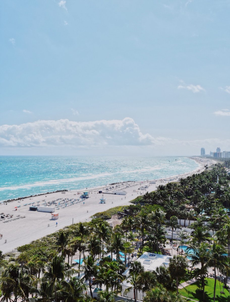 SarahCortina2's tweet photo. some pictures from Miami https://t.co/zi31NJWqEZ