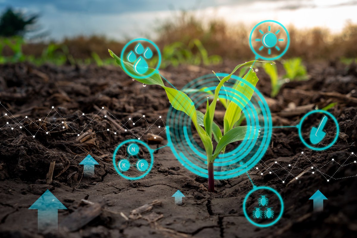 crevits's tweet photo. 5,5 miljoen euro steun voor innovatieve projecten in de land- en tuinbouw. Zo land- en tuinbouwers stimuleren om de weg van innovatie te bewandelen om een antwoord te vinden op bestaande noden of problemen. Met speciale aandacht voor circulaire economie.

https://t.co/3ThcGopzyw https://t.co/LPLJhgCM06
