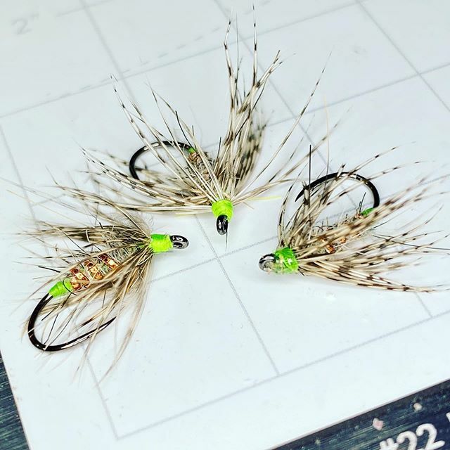 TheJerseyAngler's tweet photo. A few Green Butt Caddis to add to the warm water soft hackle box. This killer trout pattern is one of my favorite warm water patterns as well. #panfishonthefly #panfish #panfishing #bluegillonthefly #bluegill #bluegillfishing #yearofthebluegill #flyfis… https://t.co/fLj4dxy8PM https://t.co/kOn7RandFD