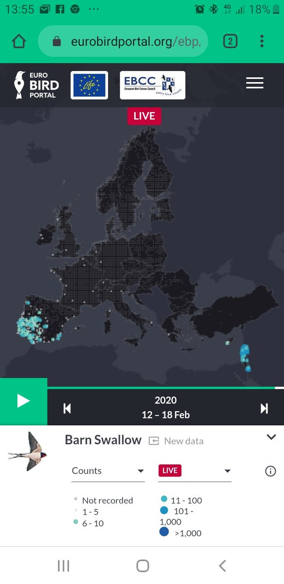 Successful <a href="/EuroBirdPortal/">EuroBirdPortal</a>  meeting👌 Huge thnxs to Gabriel and <a href="/ICOcells/">ICOcells</a> team. Great progress in bird portal collaboration <a href="/BirdTrack/">BirdTrack</a> <a href="/Team_eBird/">eBird</a>  #artportalen <a href="/Sovon/">Sovon Vogelonderzoek Nederland</a> <a href="/observado/">Observation.org</a> and Ornitho family. Good seabirding thanks to stormy conditions in Barcelona
Live swallow arrival map