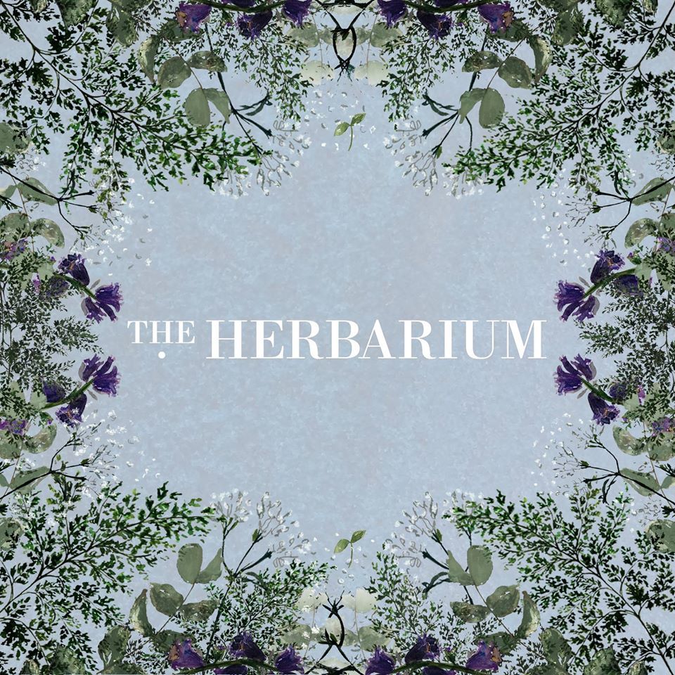 PurpleLancaster's tweet photo. Deal of the Week!
Head over to Lancaster's vegan cafe, The Herbarium, and receive 10% off your order with your Purple card! 🌱😄💜 https://t.co/qUi3BXl9J0