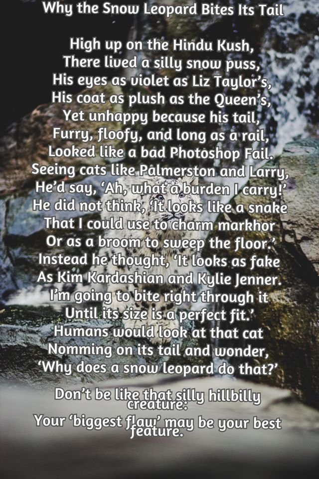 anyaalisouthpaw's tweet photo. #thankyouforreading #heart #bestfeature #creature #sillycreature #KimKardashian #cute #theQueen #plush #coat #liztaylor #violeteyes #beauty #art #ilovecats #furry #floofy #dontworrybehappy #lovelife #loveyourself #LizTaylor #animalpoetry #loveforanimals #artforendangeredanimals https://t.co/1iY440s87L