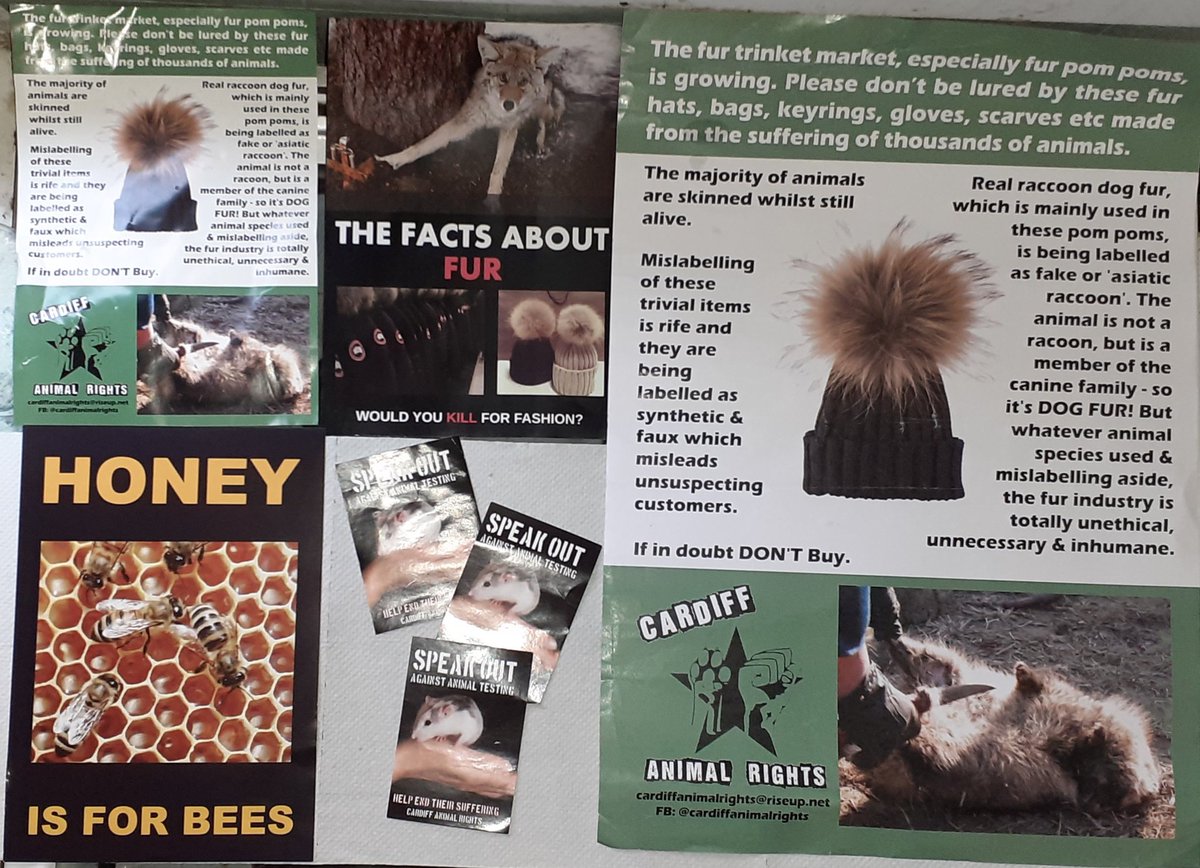 CardiffARG's tweet photo. To our followers.Funds are low,we have so much we to do. We currently produce educational leaflets &amp; have many more ideas of leaflets which would cover a range of animal topics. Can you help us? Could you donate just £1.50.
#AnimalRights #AnimalLiberation
https://t.co/pHvMGY7B6f https://t.co/vwWtt2Bdu7