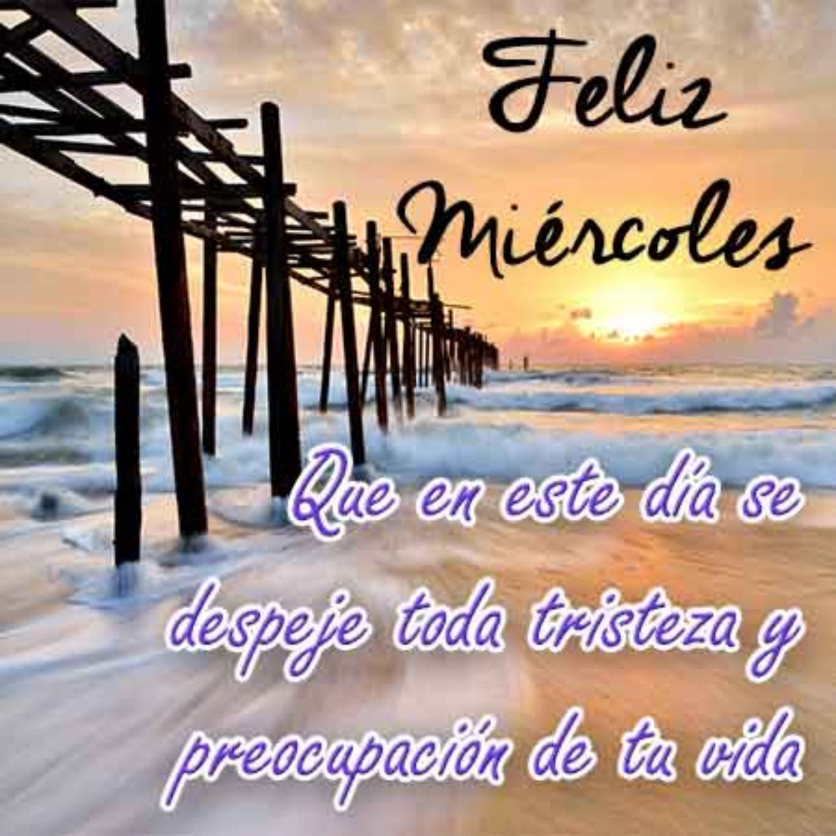 MariaER969 tweet picture