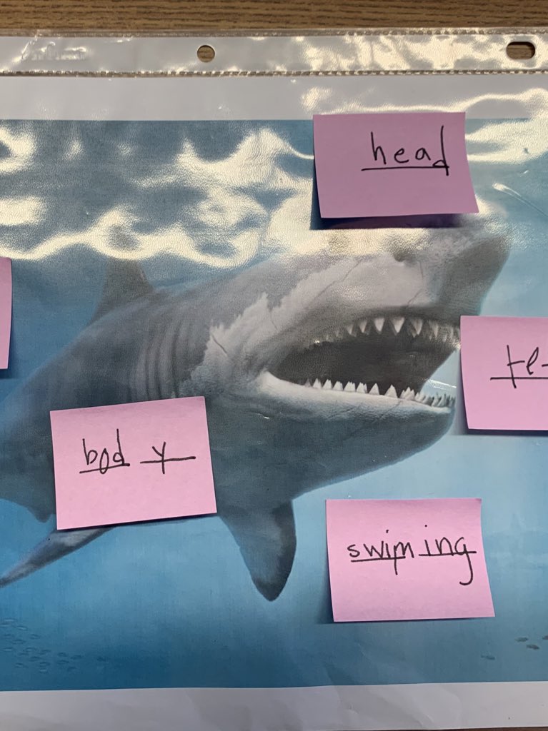 Helping kids to see the purpose behind phonological awareness work is so important. Teachers at PS 46 are thinking about joyful ways to have kids practice listening for syllables to spell longer and trickier words. #tcrwp #phonologicalawareness