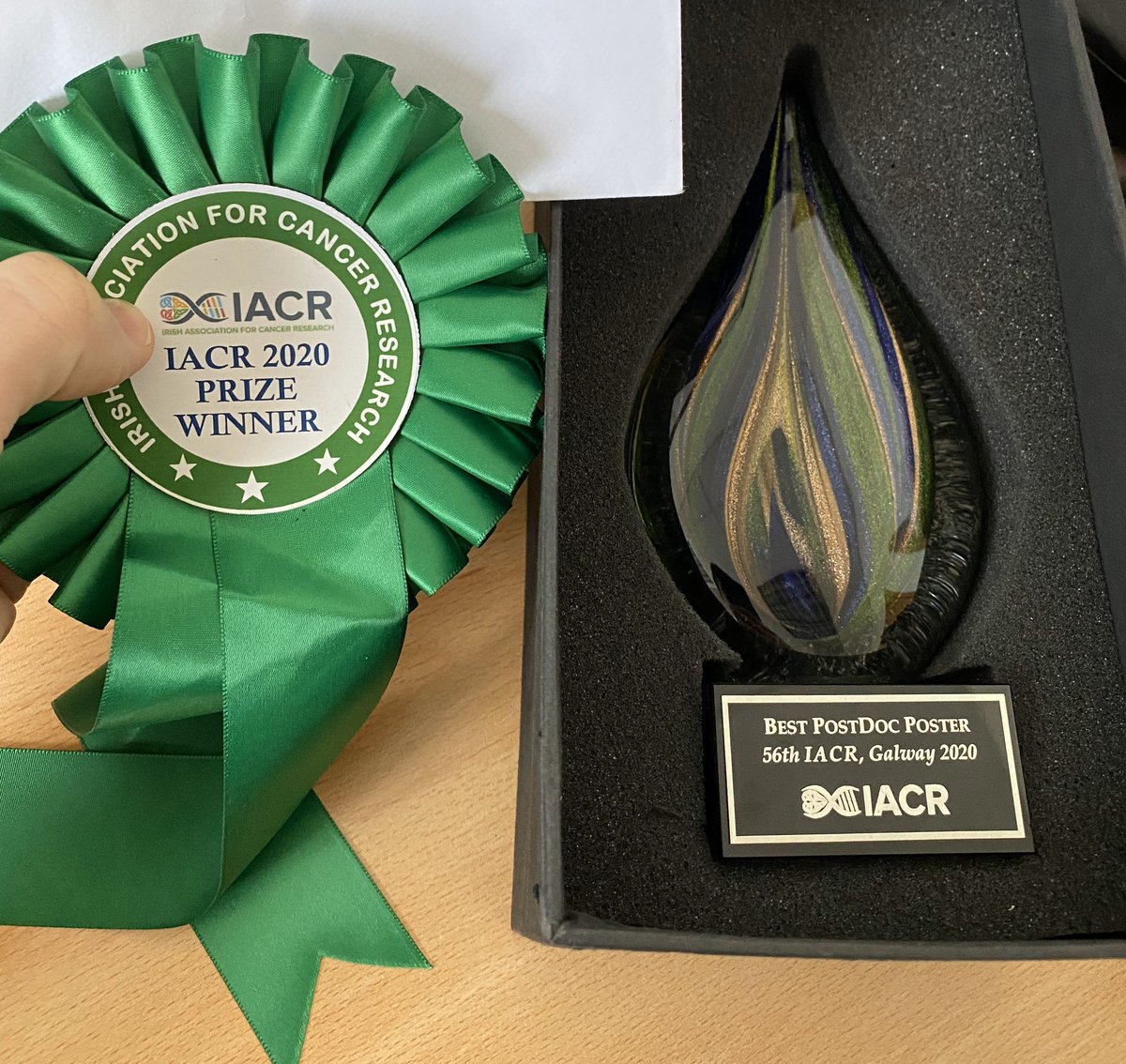damirvareslija's tweet photo. Really honoured and surprised to receive the senior researcher poster prize. It’s not how I present but the actual science that is on the poster so Id like to thank all my co-authors and lab colleagues. Also thanks @News_IACR for a beautiful trophy 🏆 @RCSI_Research @Endoadapt https://t.co/vHvMZQnQQd