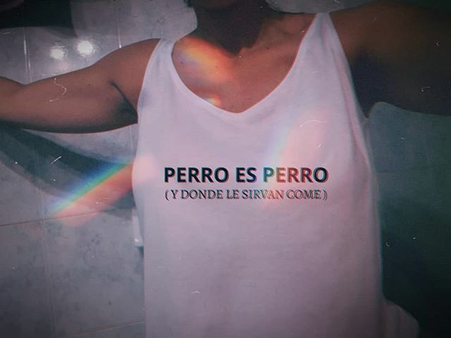 ¡Y que sea alimento Premium siempre por favor! 😎
#lapostaindumentaria #remeras #remerasestampadas #zonanorte #sanisidro ift.tt/2vGvaGD