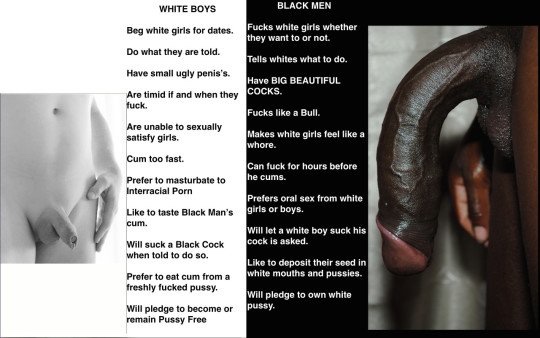 The main differences between alpha black dick & beta white cock.