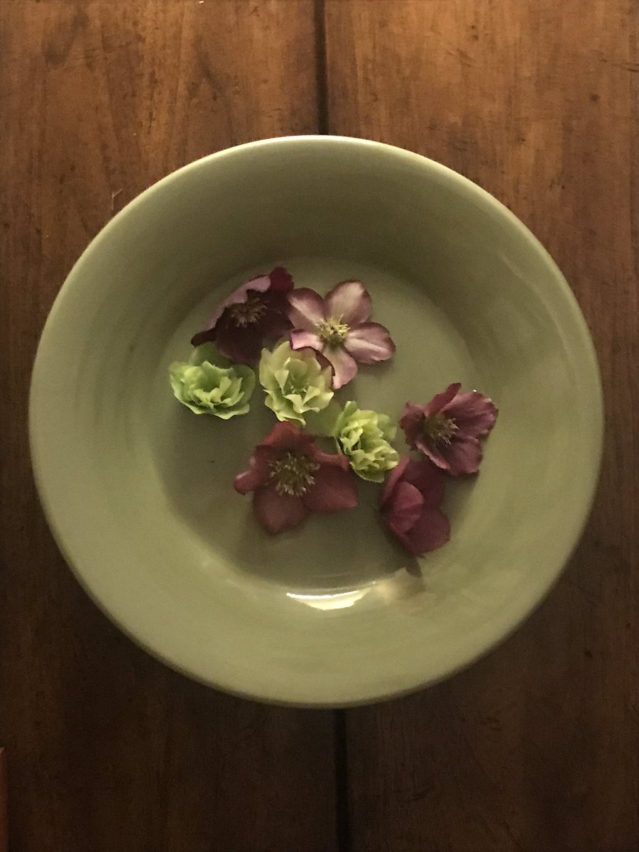 friendlyfear's tweet photo. When the inside-“dizzy dance” catches up with the outside “dizzy dance,” let nature in.
#powerofcalm https://t.co/K1FApIaUe2