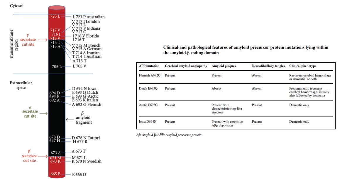 DanOntaneda's tweet photo. Excellent cases as always... seems we continue to find interesting cases. The discussion as always the highlight! #MSMRI @JeffCohenMD @XMontalban @J_SastreGarriga @JennyFengMD @cemcat_em @UofTNeurology @ClevelandClinic https://t.co/9JzGOXpC3E