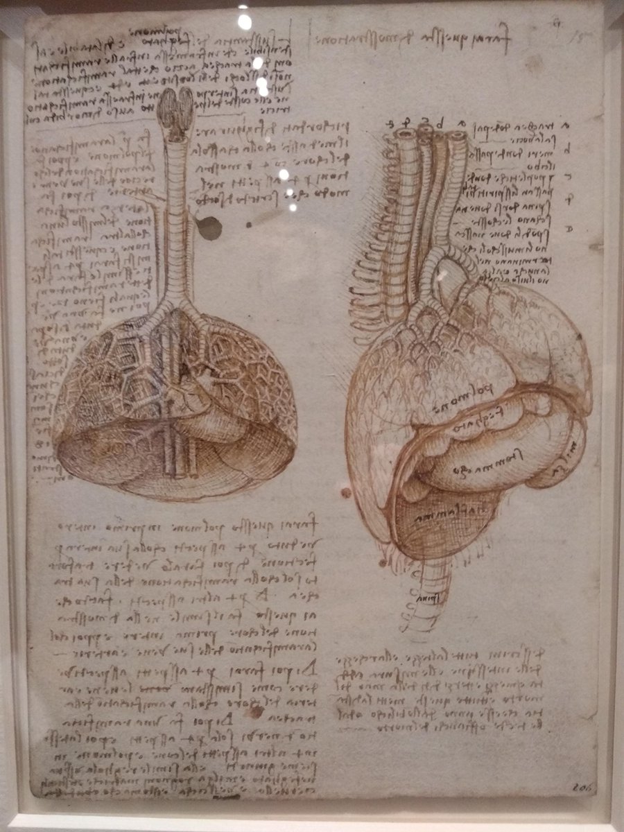 BryonyCoombs's tweet photo. Just caught the Leonardo exhibition at Holyrood, and oh my goodness, although so familiar through books, nothing prepares you for seeing them in real life... (open till 15 March - so not long left!) #ALifeinDrawing #Leonardo #mightgobackagain #wednesdaytreat https://t.co/xY30ByX3BA