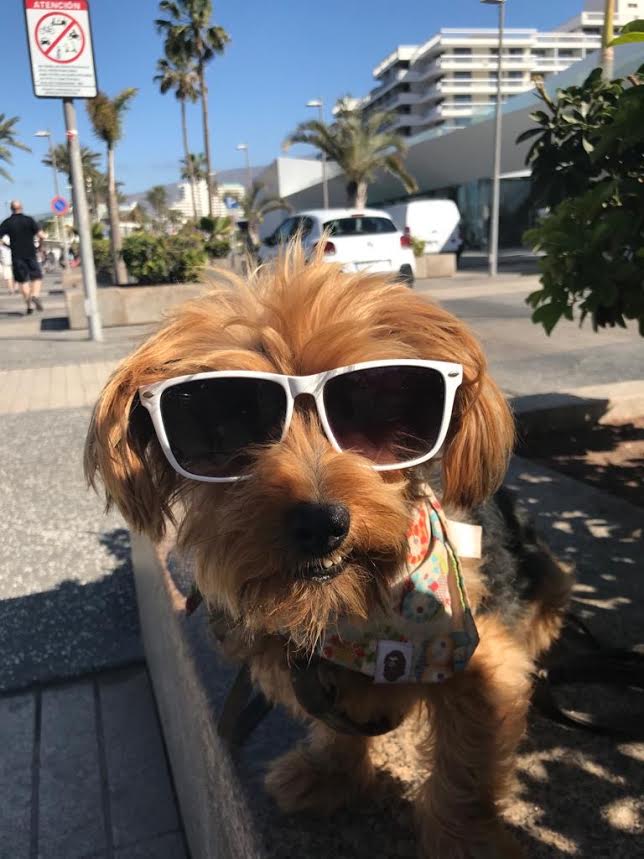 Caulear Protection tweet media