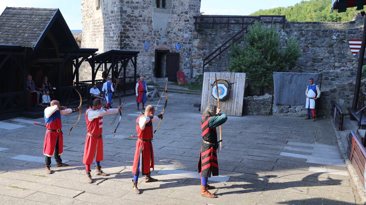 KorcsmarosLab's tweet photo. We are organizing 3rd time the Interdisciplinary #SignalingWorkshop (20-24 July) where experts work together with early-career researchers to solve #multidisciplinary problems- facilitated by knightsโ tournaments & catamaran competition on the Danube. https://t.co/R3g5tBODNm https://t.co/HRni36tKwh