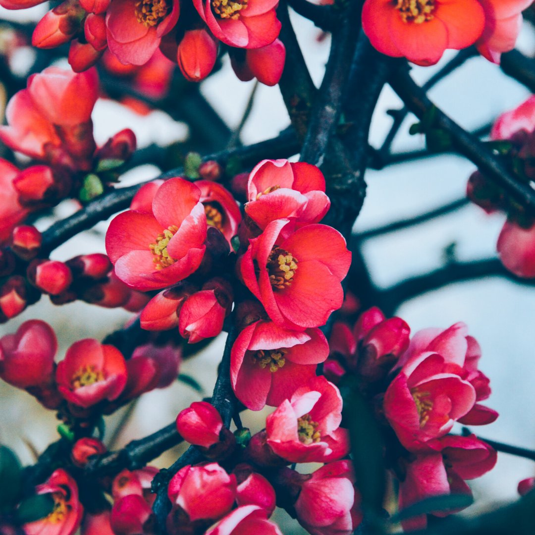 Spring into action at the Central Kentucky Home &amp; Garden Show! Get ready to grow your sales &amp; plant seeds with thousands of qualified homeowners April 3-5. Let us help your business bloom! Link to bit.ly/2K8IIzj