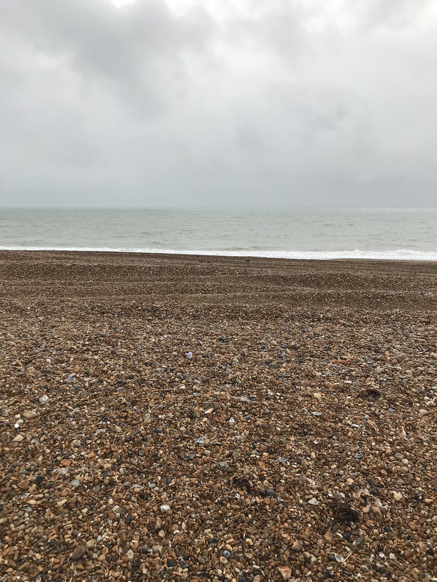 JaxonStevensBDM's tweet photo. Not really a day for the beach but we’re out discussing lots of different specialist lending scenarios all over the country #specialist #lending #solutions @PositiveLendUK Once again Squeezy Specialist Sam has joined me on my travels but can you #SpotSam in today’s picture? ✔️ https://t.co/wzIgm9JFyf