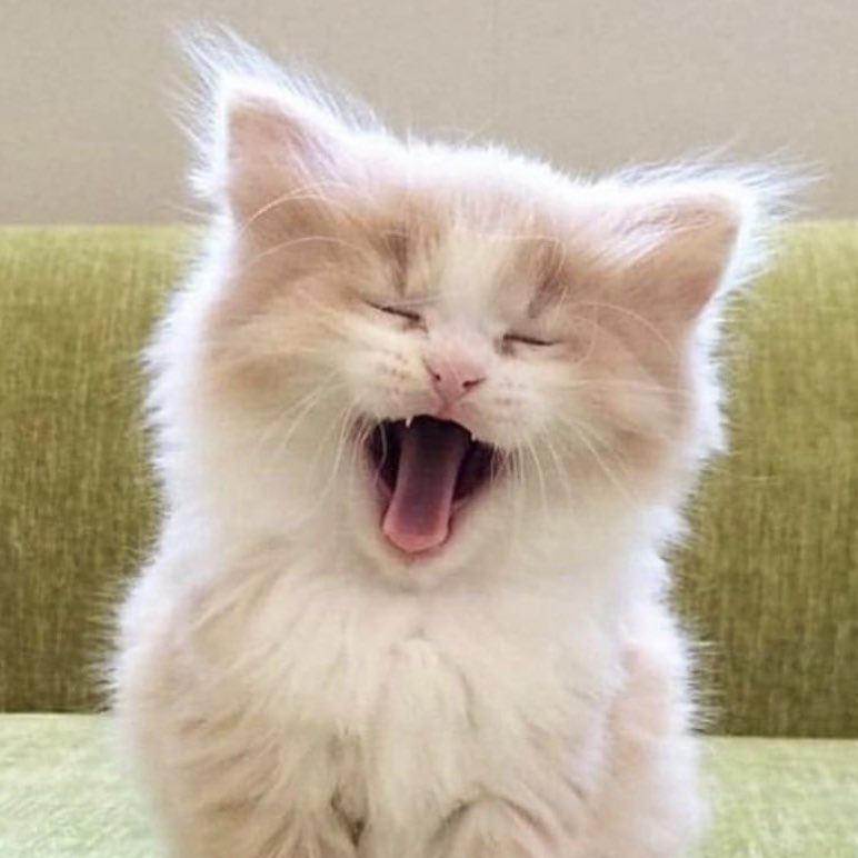 #강다니엘 #KangDaniel