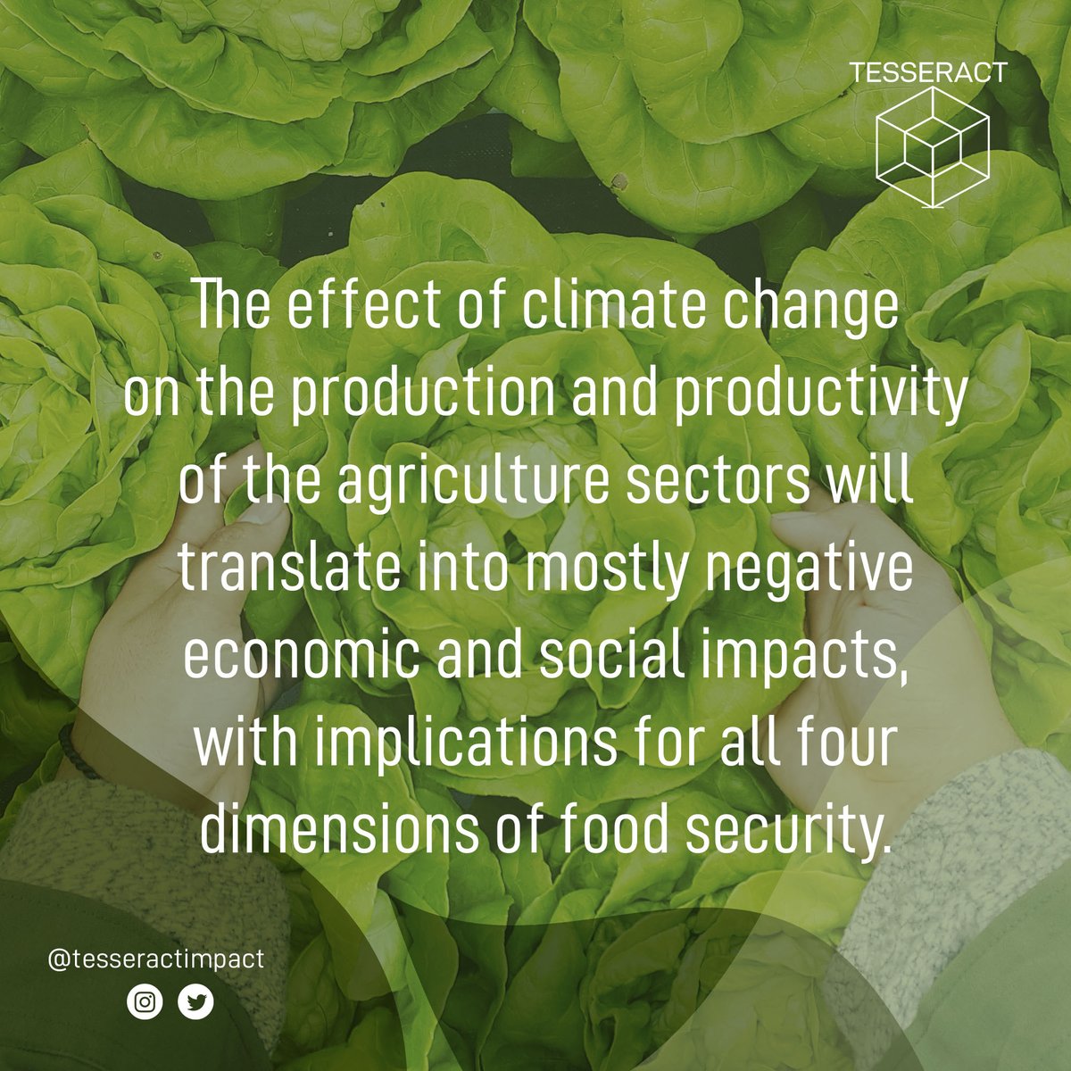 tesseractimpact's tweet photo. The effect of #climatechange on the production and productivity of the #agriculture sectors will translate into mostly negative #economic and #socialimpacts, with implications for all four dimensions of #foodsecurity. https://t.co/8BLTdy2oDu