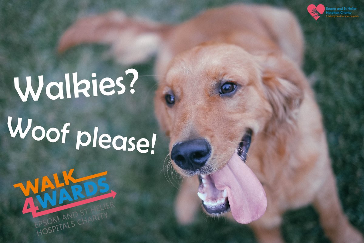 EsthCharity's tweet photo. Woof! We LOVE walking! We can't wait for our hoomans to take us out on #Walk4Wards on Sunday 29 March. Woof! @epsom_sthelier #surreydogs https://t.co/sYxrFJNFBg https://t.co/2FC6t8ltzf