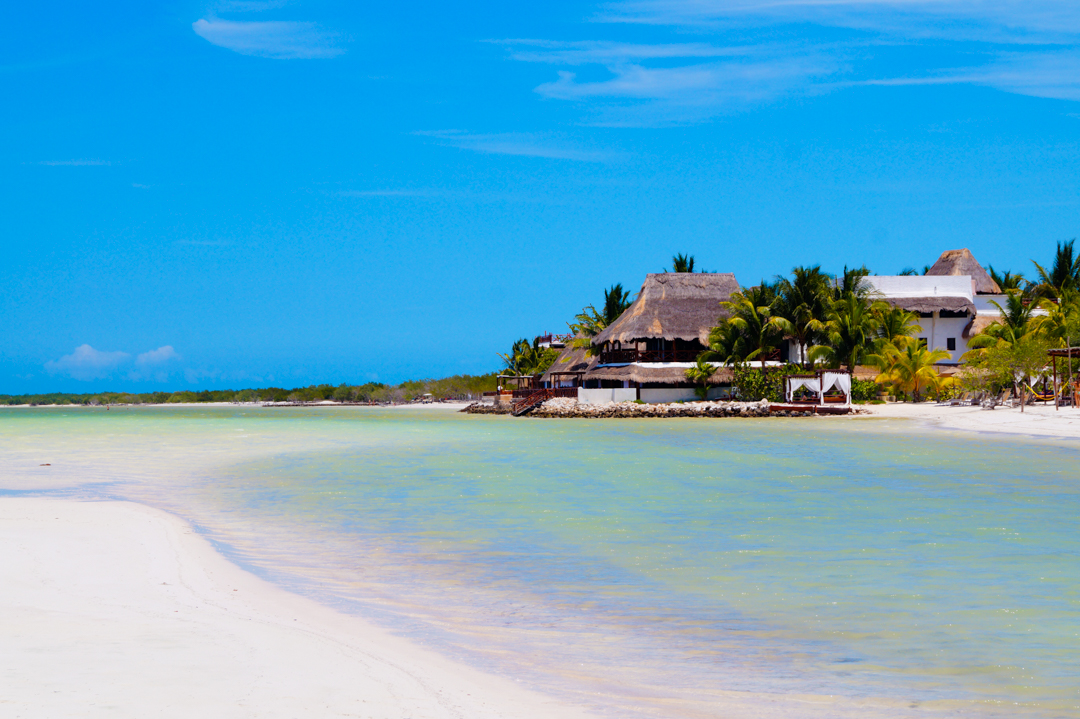 theholboxeno's tweet photo. #holbox #islaholbox #holboxisland #holboxmexico #iloveholbox #helloholbox #islandlife #beachlife #love #instagood #travel #travelgram #postcardplaces #travelawesome #beach #mexico #wanderlust #lovefortravel #awesomeearth #travellife #globalnomads #travelmexico #visitmexico https://t.co/uGK3oViSYo