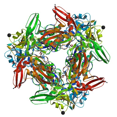 rcsb pdb 💉🧬💻🔬💊🌱🧠🦠 tweet media