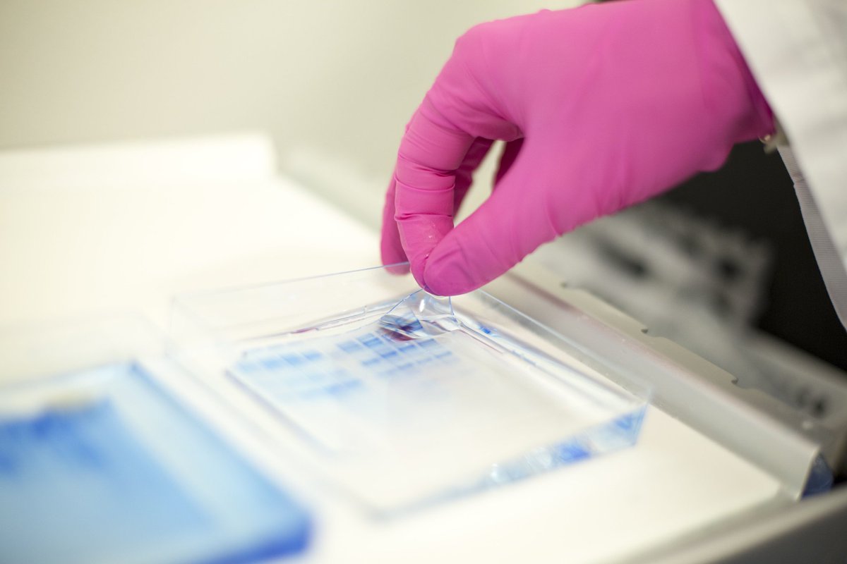 ExpreS2ionB's tweet photo. The #ExpreS2 system enables your VLP/ recombinant #antigen #expression & process development. Contact info@expreS2ionbio.com #biotech #drosophila #S2 #vaccines #vaccineswork #complexproteins #zika #malaria #dengue #hpv #her2 #hiv #tlr7 #tlr8 #tlr4 #human #research https://t.co/b5QomW0vBV