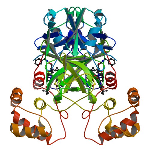 rcsb pdb 💉🧬💻🔬💊🌱🧠🦠 tweet media