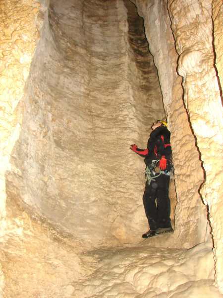 Андрей tweet media