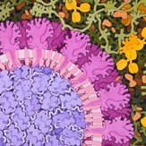 rcsb pdb 💉🧬💻🔬💊🌱🧠🦠 tweet media
