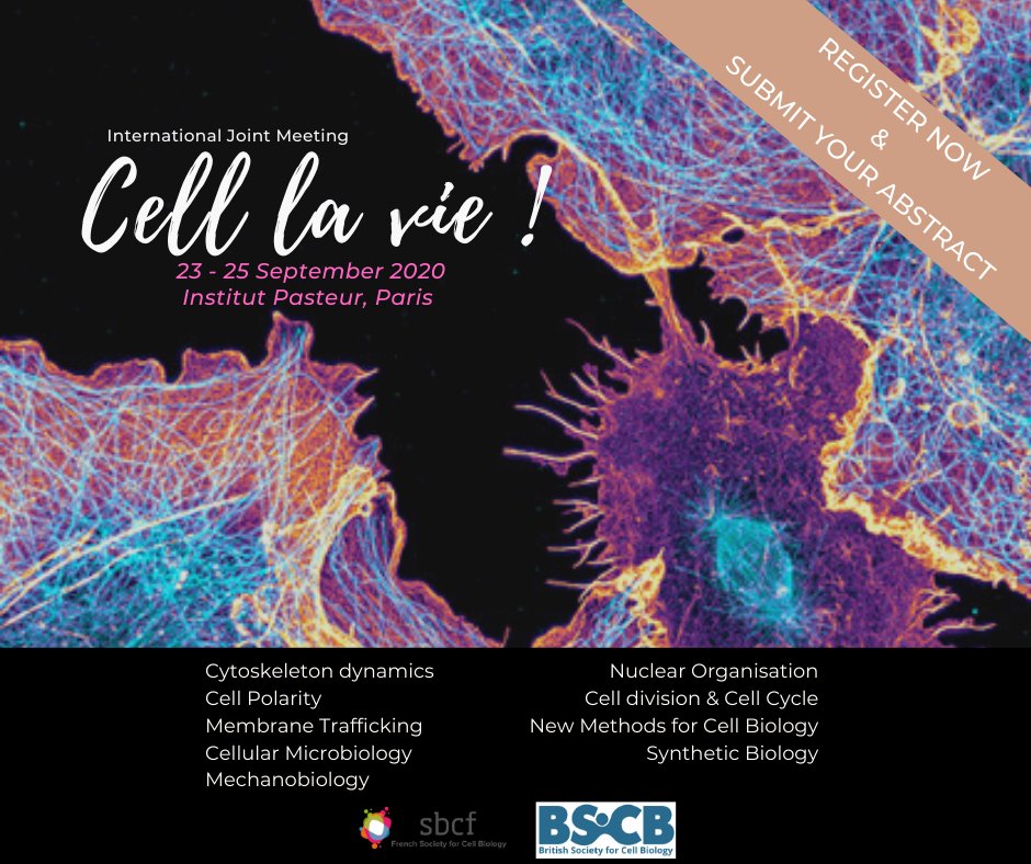 The Cell La Vie ! Congress has been created from the union of the French and British Societies of Cell Biology.

Register now in order to benefit for the lowest rates :
atoutcom.com/cell-la-vie/re…
#CLV2020
