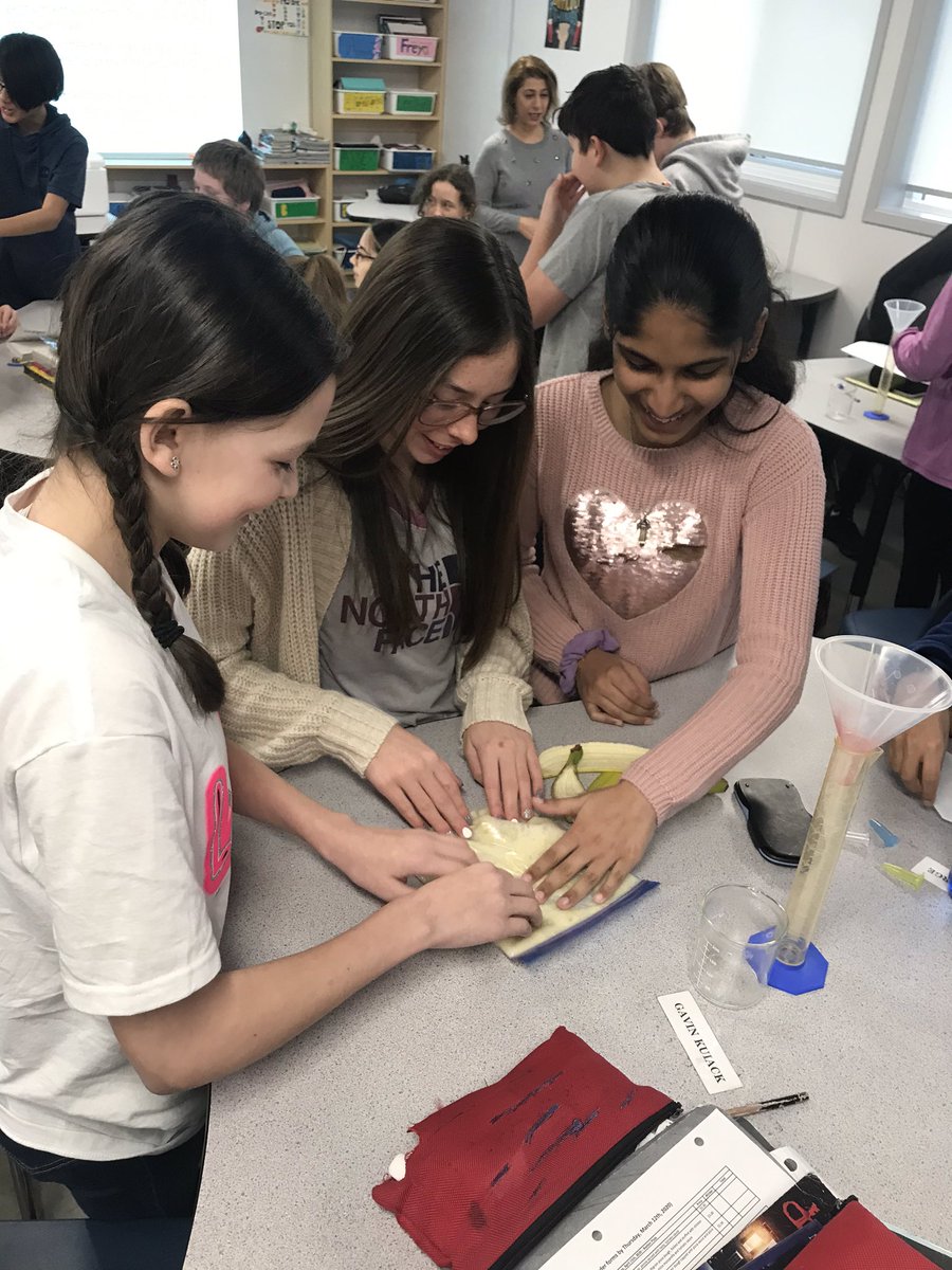 jmoco95's tweet photo. Yesterday, we were visited by a UWO PhD Pharmacology student who taught us how to extract DNA from bananas. How cool! @StMargEagles https://t.co/2JzxxyZmjR