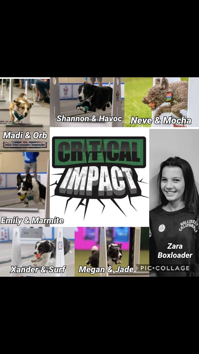 mutleydogtreats's tweet photo. Good luck everyone competing at Crufts and especially this YKC flyball team go kids 🥰🐾🐾🎾 https://t.co/98cqtEBX4O