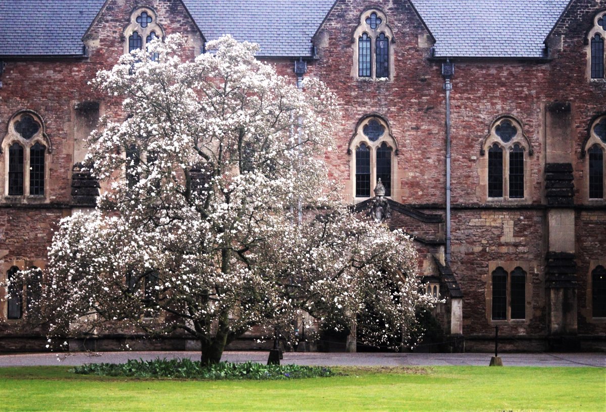 RarePlantFair's tweet photo. Not long now to the first Rare Plant Fair of the season at @Bishops_Palace Wells, Somerset on March 22nd at 10am. We have 19 top class exhibitors attending, and we'll be giving them some individual shoutouts over the coming days. Full details available at https://t.co/Xvz9reiYqT https://t.co/ga5z0XsTMG