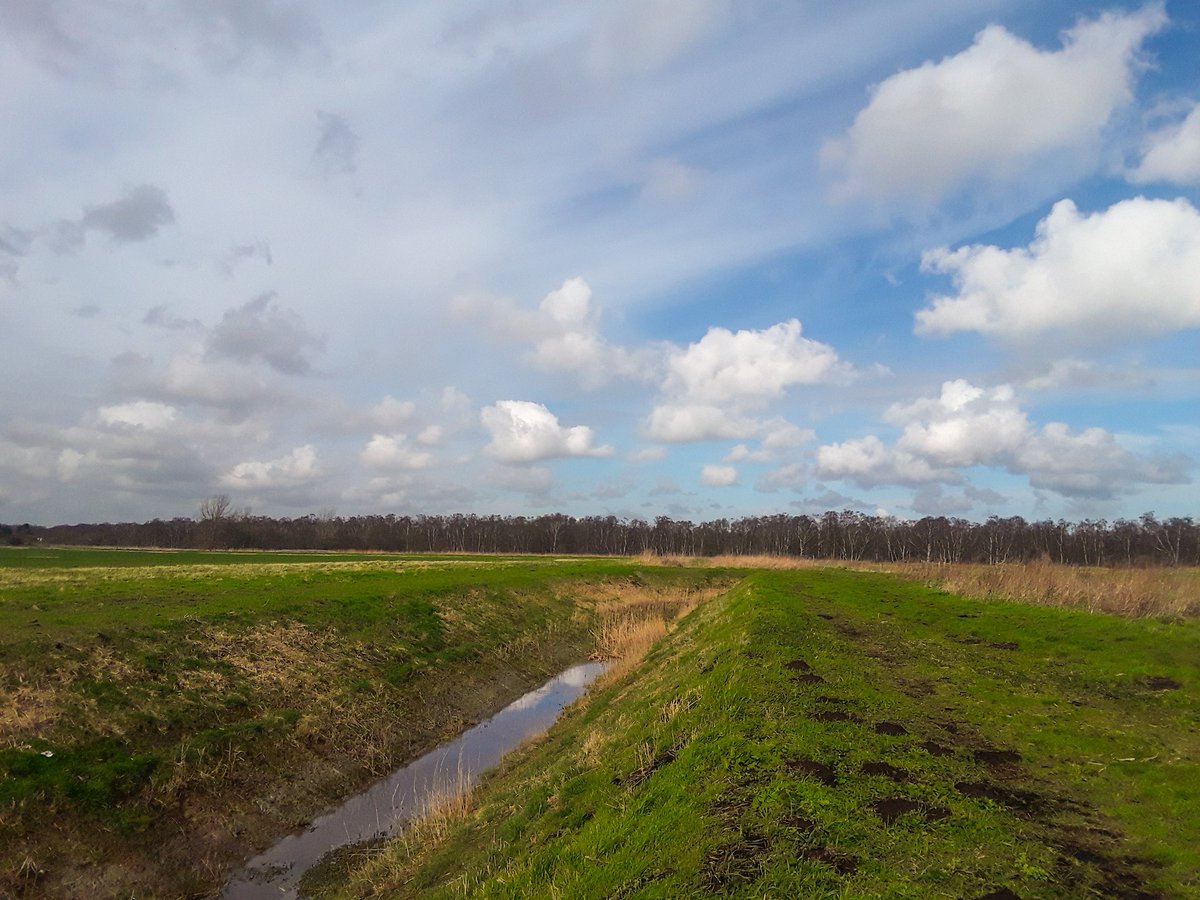 Had to have a walk around my favourite place today <a href="/greatfen/">Great Fen</a>, Holme, Cambridgeshire <a href="/metoffice/">Met Office</a> <a href="/ChrisPage90/">Chris Page - Weatherman</a> <a href="/WeatherAisling/">Aisling Creevey</a> <a href="/bbcweather/">BBC Weather</a> <a href="/BBCWthrWatchers/">BBC Weather Watchers</a> <a href="/BBCLookEast/">BBC East</a> <a href="/Eastmagazines/">Eastlife Magazine</a> <a href="/Fen_SCENE/">Fen Scene Magazine</a> #loveukweather ✔ #thefens #WeatherWatcheralpacalady