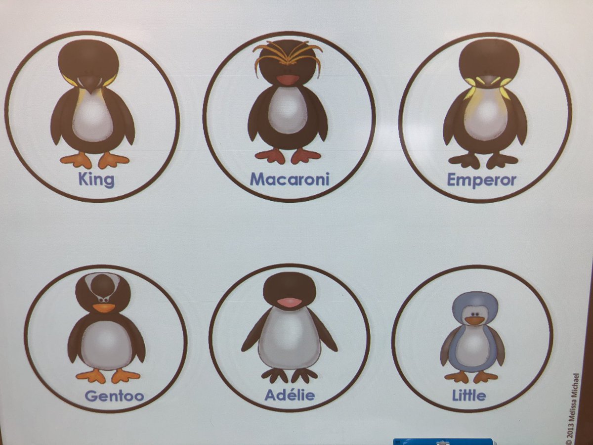 MrsGaetan's tweet image. The penguin investigation continues! Students are working in small groups to learn more about a specific penguin. Later they will share their findings with their peers. #pengiuns #nonfiction @CTKBobcats