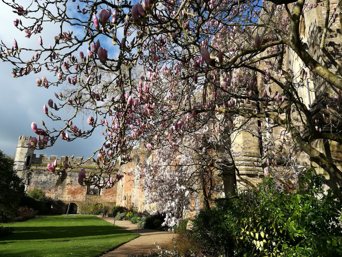 RarePlantFair's tweet photo. Not long now to the first Rare Plant Fair of the season at @Bishops_Palace Wells, Somerset on March 22nd at 10am. We have 19 top class exhibitors attending, and we'll be giving them some individual shoutouts over the coming days. Full details available at https://t.co/Xvz9reiYqT https://t.co/ga5z0XsTMG