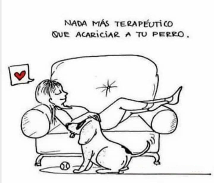 creer_ong's tweet photo. Buen miércoles para todos les desea ONG CREER ❤️ https://t.co/4u0VUeT7LD