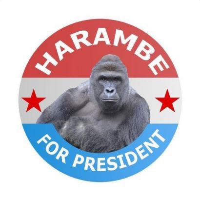 NikolaLalatovic's tweet photo. Friendly reminder #NeverForget #HarambeForPresident https://t.co/qMh1d4vVOI