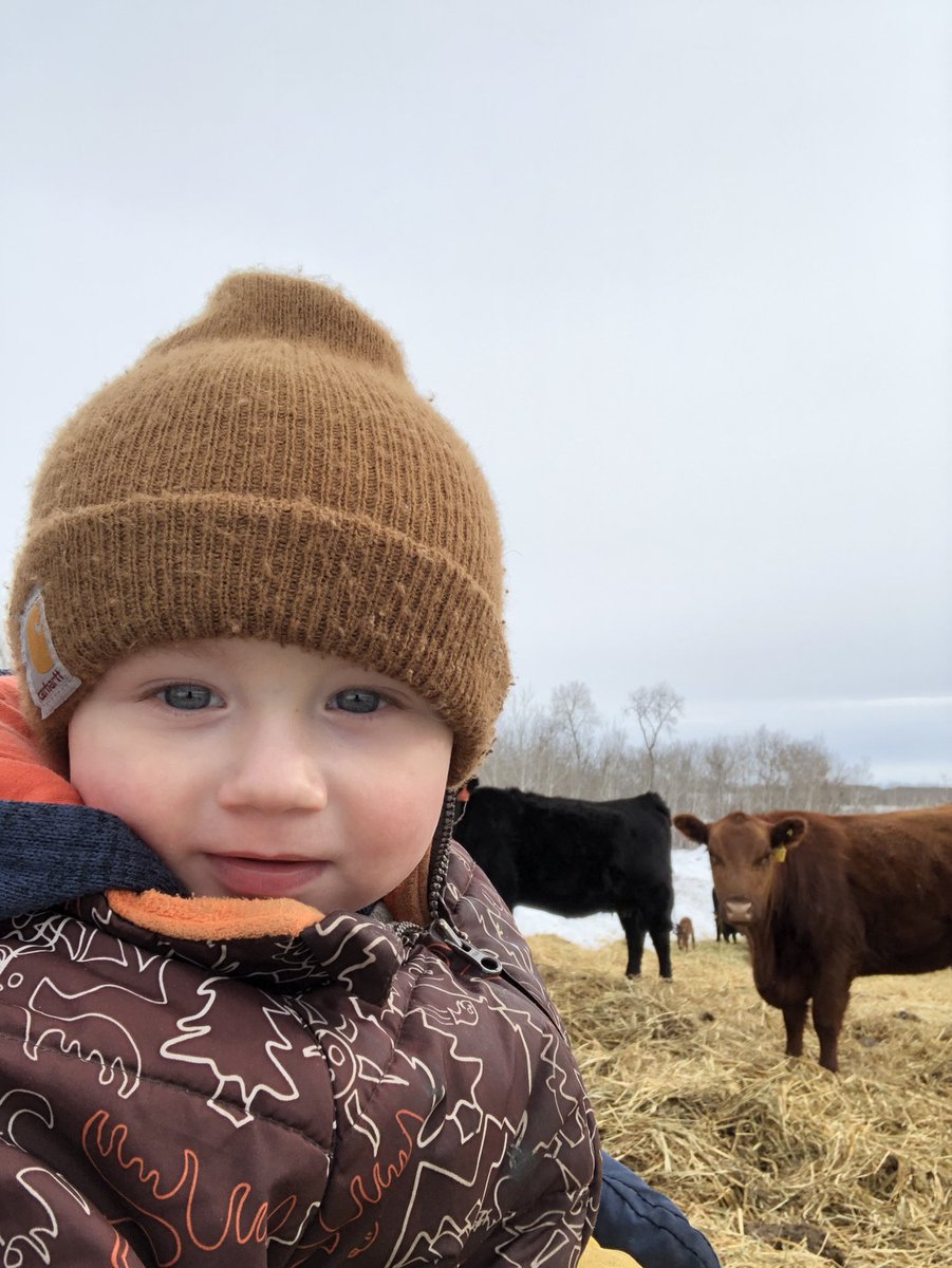 ranchingsk's tweet photo. Our daily calf check #mamaslittlehelper #ranchlife https://t.co/TrEgY4EpqY