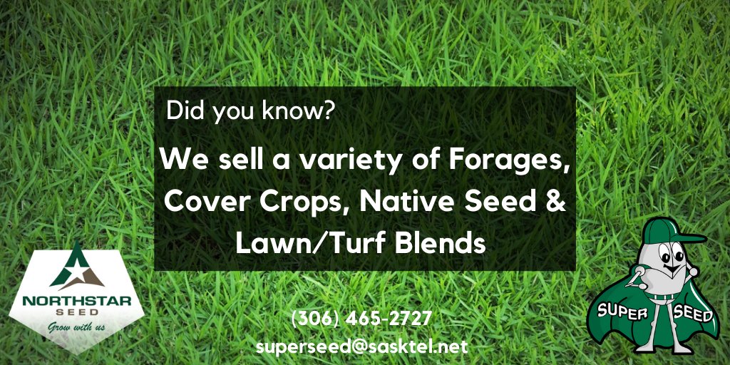 It's true! We sell a wide variety of @NorthstarSeed products.
Early order discounts available until March 15.