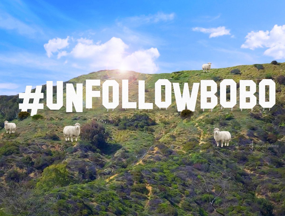 David Glantz tweet media