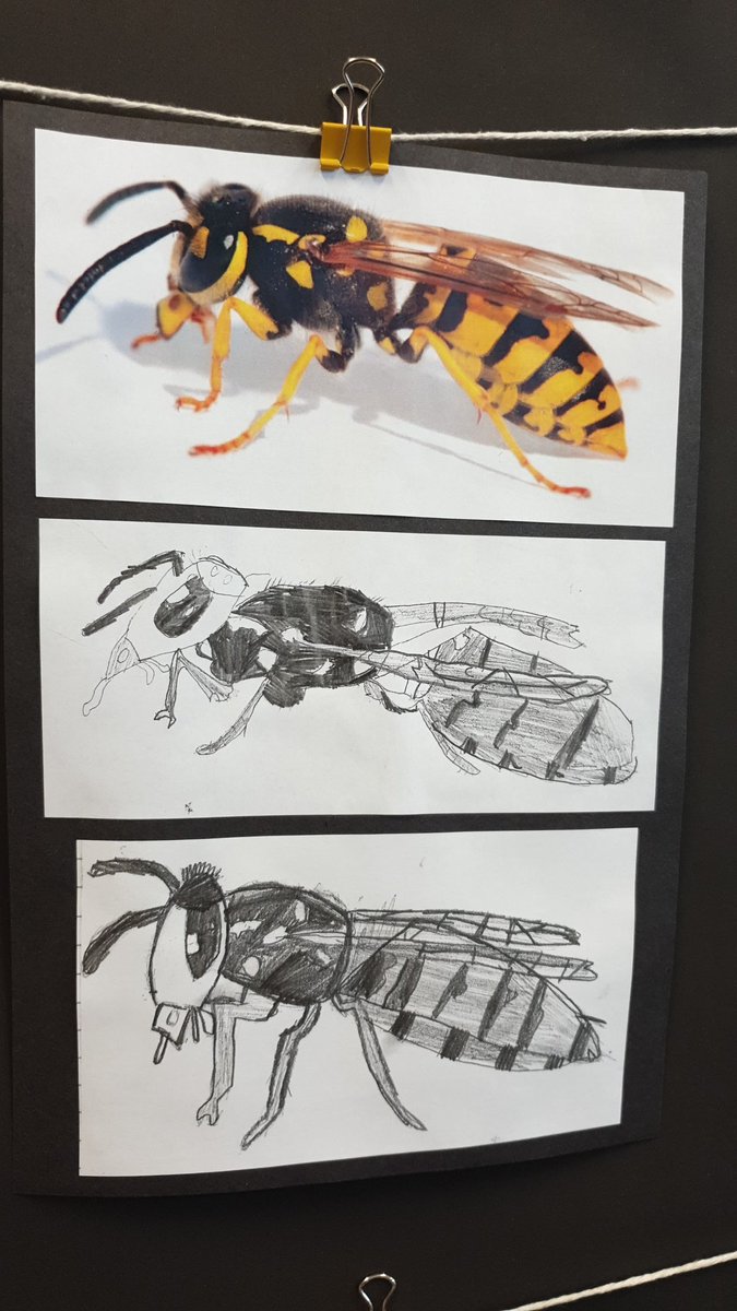 GeorgeCarey (@georgecareysch) on Twitter photo Some really impressive art from Y2 - they have looked at improving their drawings in their Wiggle and Crawl topic <a href="/Cornerstonesedu/">Cornerstones Education</a> Some really impressive art from Y2 - they have looked at improving their drawings in their Wiggle and Crawl topic <a href="/Cornerstonesedu/">Cornerstones Education</a>