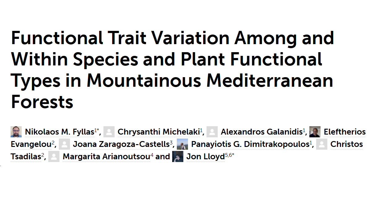 nfyllas's tweet photo. Very happy to see our study on #Mediterranean #Forest functional #traits with @ChrysRakoun, @pdimi2 et. al published in @FrontiersIn #Plant #Science.
Open access at https://t.co/QM8kHZHm2D
#leafeconomicspectrum, #photosynthesis, #respiration, #soilproperties, #climate https://t.co/9cbZiVDkzR