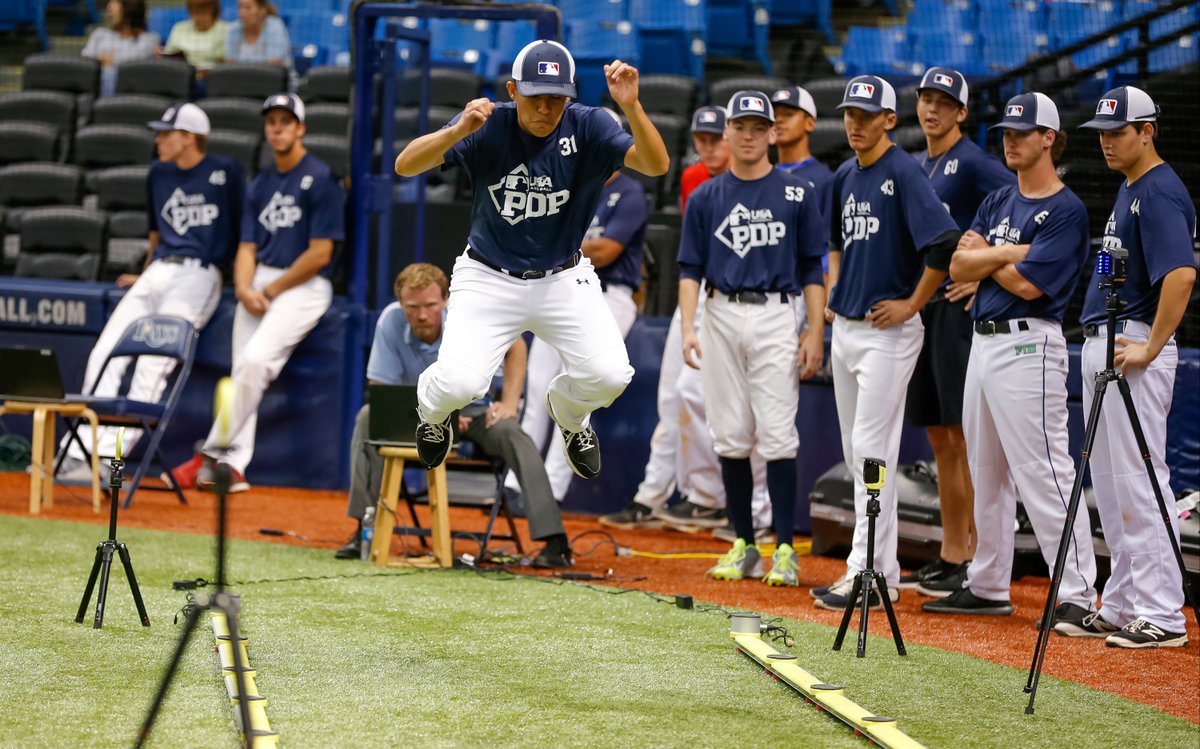 MLB/USA Baseball PDP tweet media